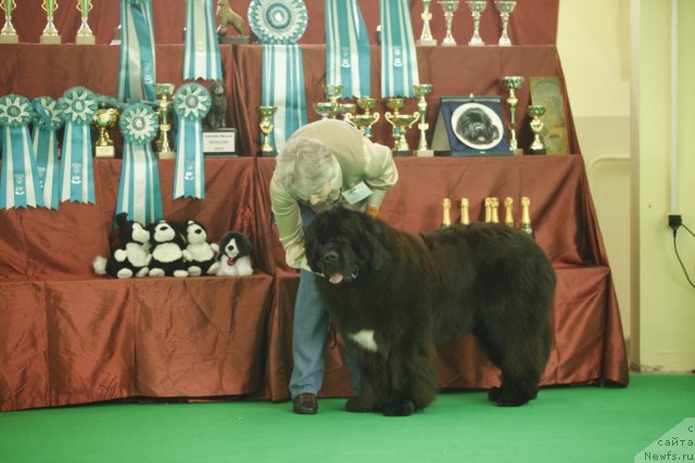 Фотография № 92569