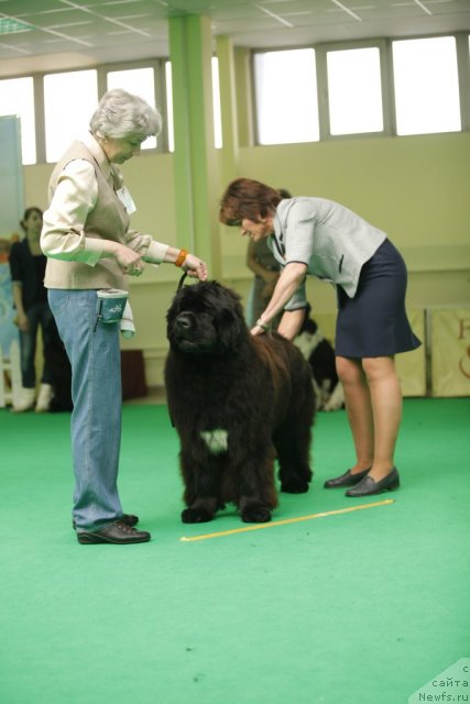 Фотография № 92572