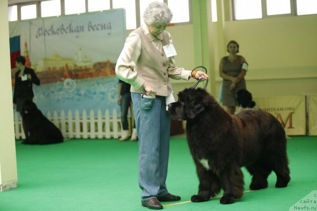 Фотография № 92575