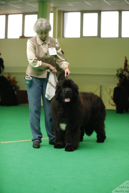 Фотография № 92576