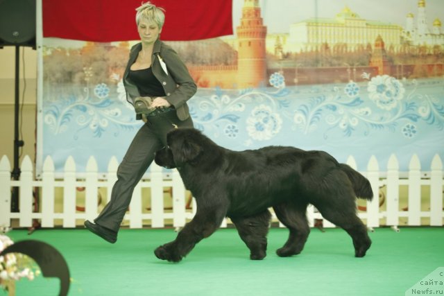 Фотография № 92580