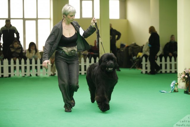 Фотография № 92582