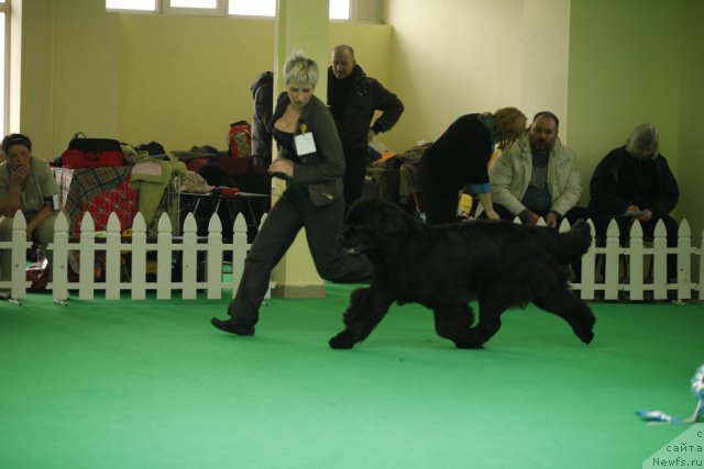 Фотография № 92583