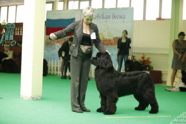 Фотография № 92584