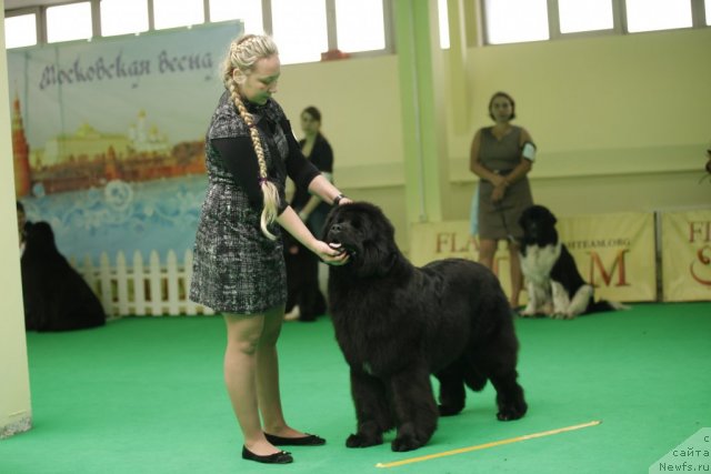 Фотография № 92586