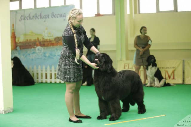 Фотография № 92587