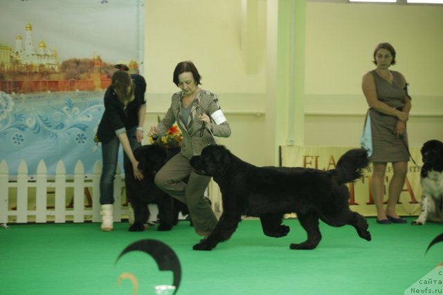 Фотография № 92591