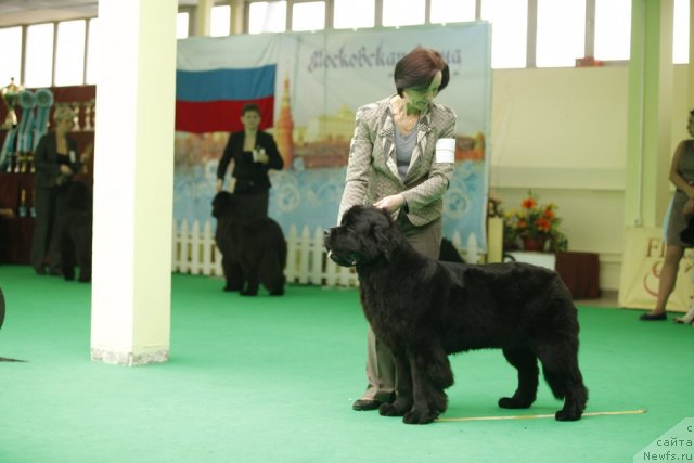 Фотография № 92593