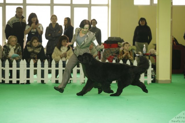 Фотография № 92594