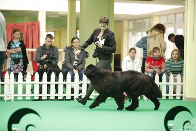 Фотография № 92598