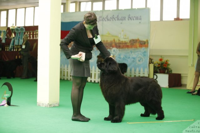 Фотография № 92601