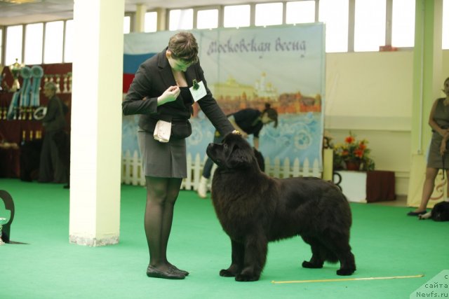 Фотография № 92603