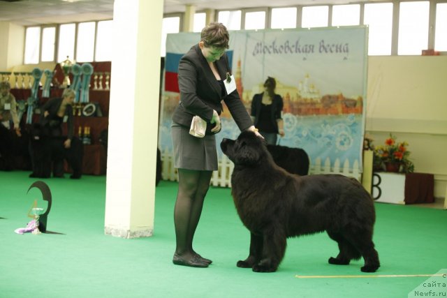 Фотография № 92604