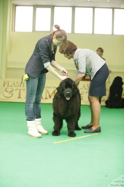 Фотография № 92605