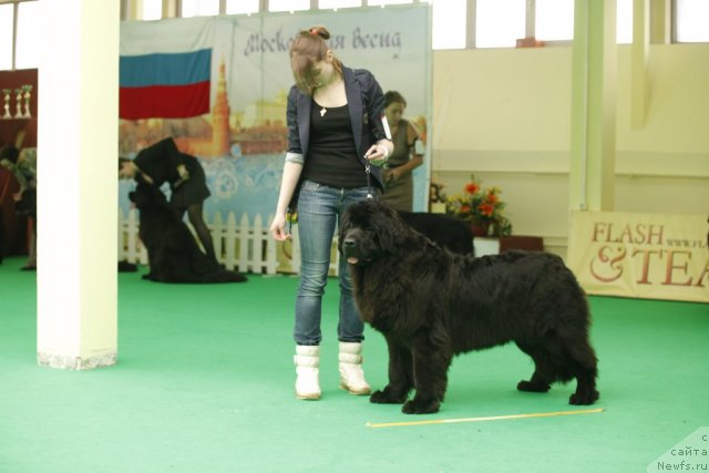 Фотография № 92607