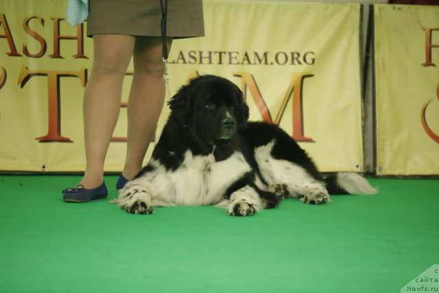 Фотография № 92608