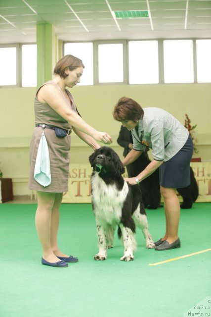 Фотография № 92610