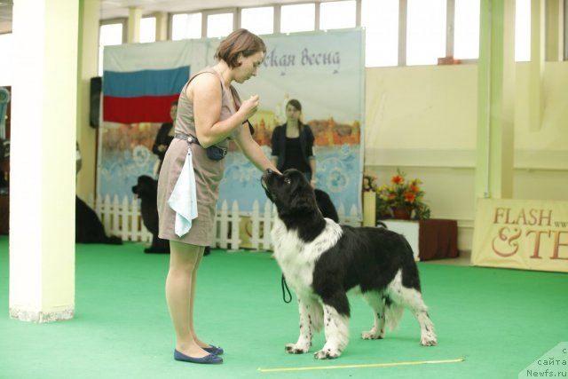 Фотография № 92612