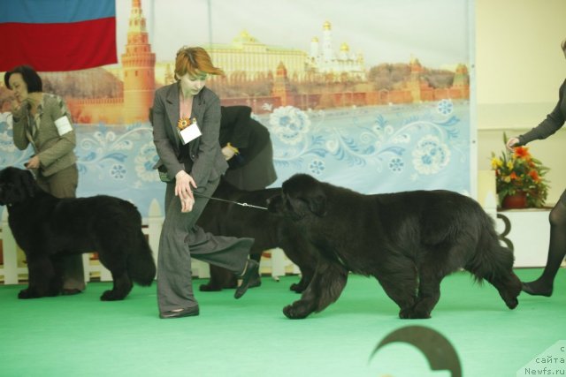 Фотография № 92613