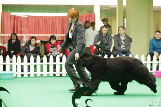 Фотография № 92617