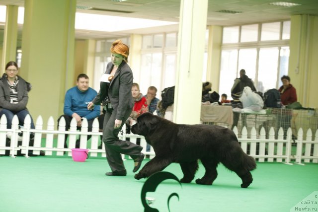 Фотография № 92620