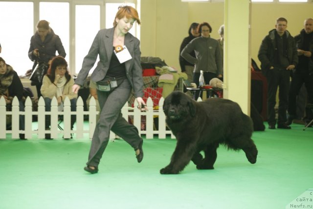 Фотография № 92623