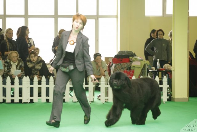 Фотография № 92625