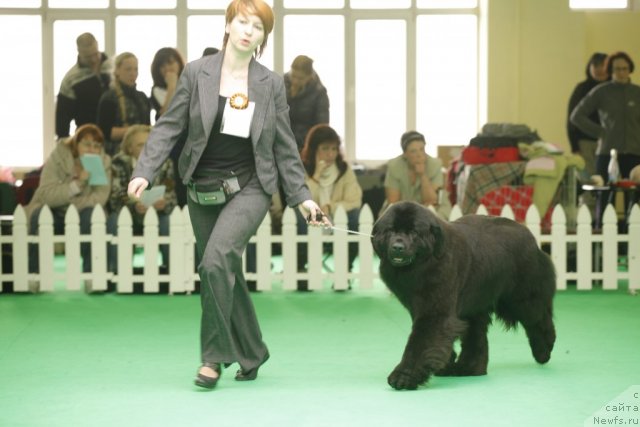 Фотография № 92627