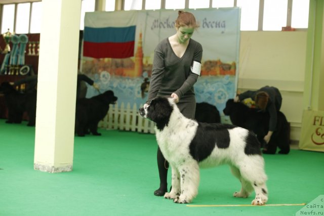 Фотография № 92632