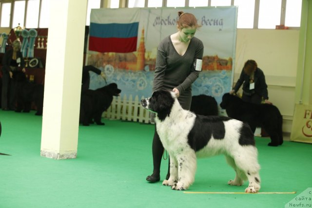 Фотография № 92634