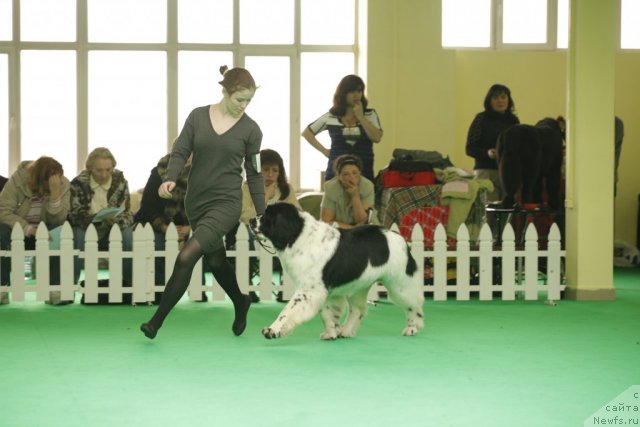 Фотография № 92635