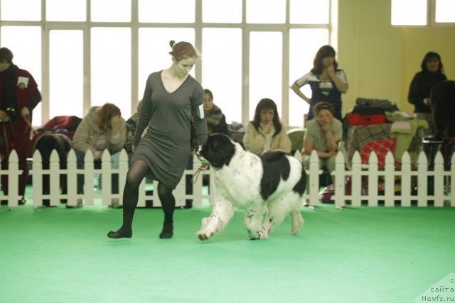 Фотография № 92637