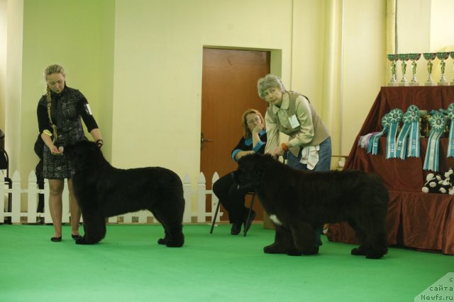 Фотография № 92644