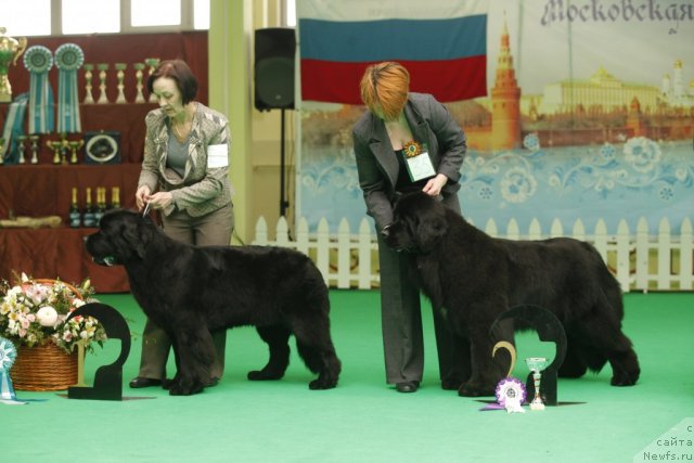 Фотография № 92647