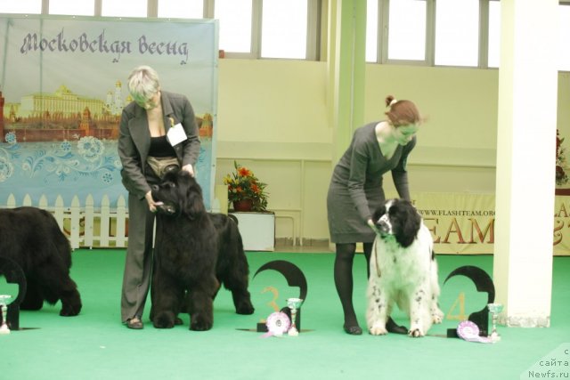 Фотография № 92648