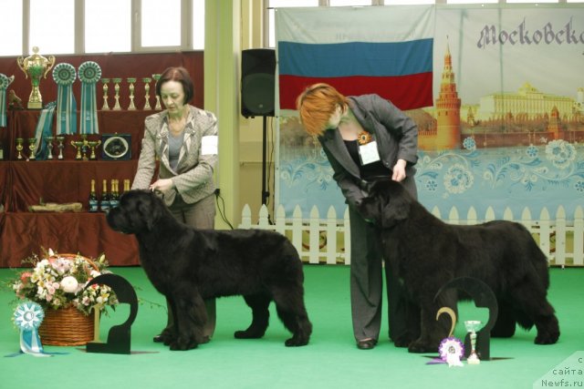 Фотография № 92649