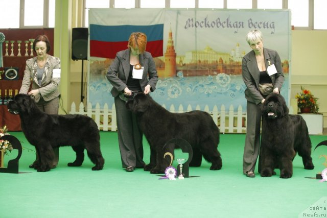 Фотография № 92650