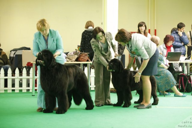 Фотография № 92652