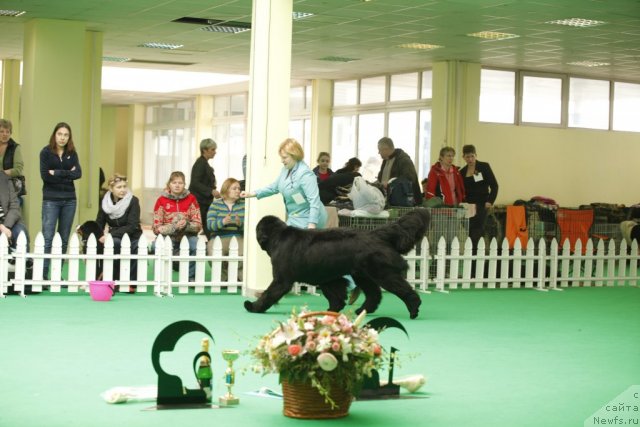 Фотография № 92653