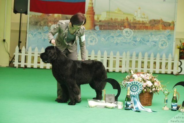 Фотография № 92655