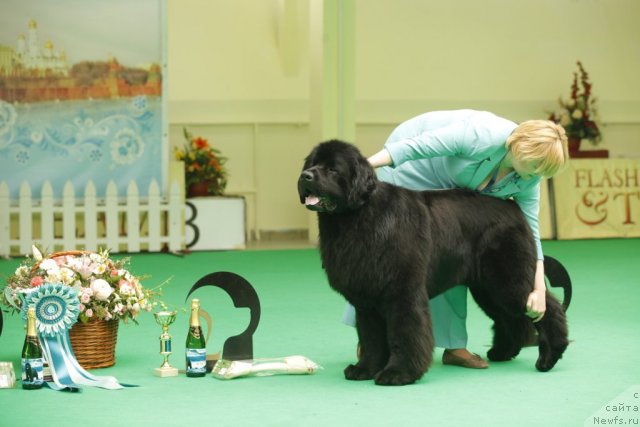 Фотография № 92656