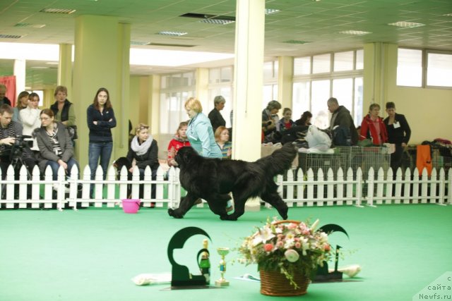 Фотография № 92657