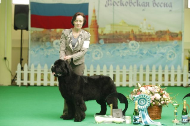 Фотография № 92658