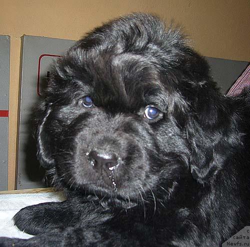 Фотография № 9267