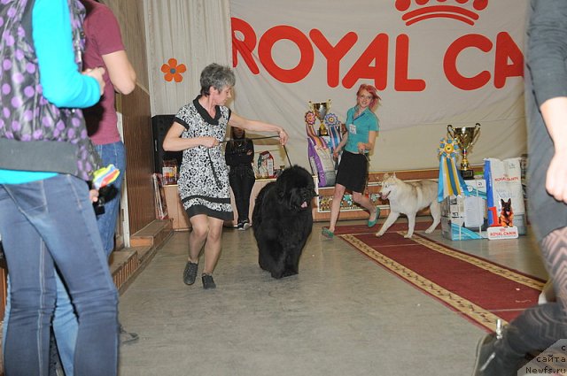 Фотография № 92685