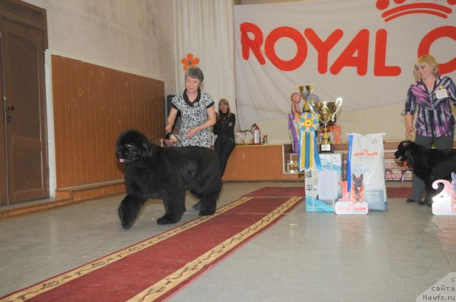 Фотография № 92690