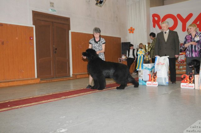 Фотография № 92691