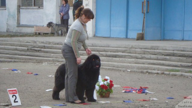 Фотография № 92700