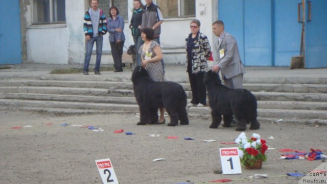 Фотография № 92706