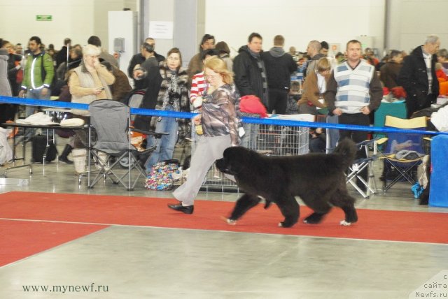 Фотография № 92718